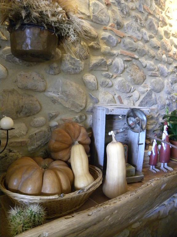 Agriristoro Podere S. Andrea Massa Marittima Dış mekan fotoğraf
